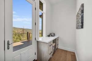 Entryway featuring a healthy amount of sunlight and wood-type flooring