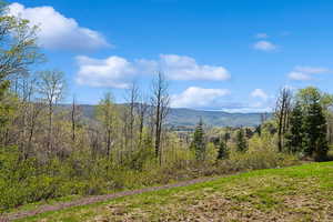 View of mountain backdrop with a heavily wooded area
