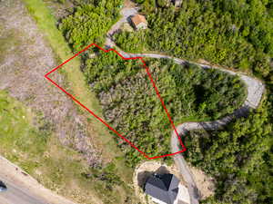 Neighboring lot: also for sale! (Boundaries approximate)