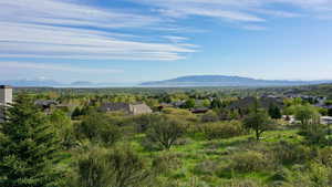 Arial shot at the main level family room window. These are the views looking south.