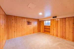 Basement with carpet flooring and wooden walls