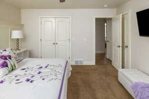 Carpeted master bedroom with a walk-in closet