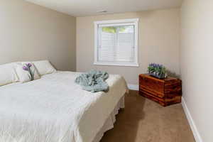 Bedroom with carpet flooring