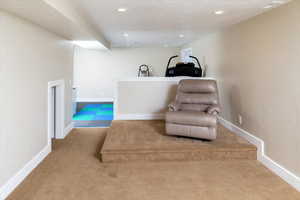 Sitting room featuring a textured ceiling and carpet flooring