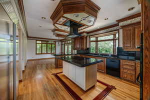 Kitchen featuring a center island, light hardwood / wood-style floors, a wealth of natural light, and island range hood