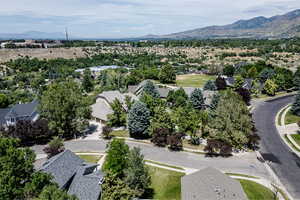 Drone / aerial view with a mountain view