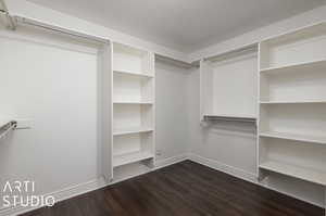 Downstairs Walk in closet