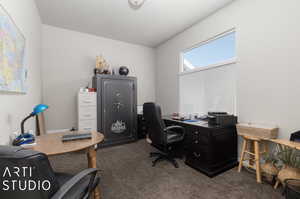 View of carpeted office