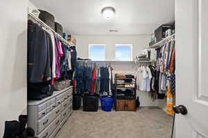 Spacious closet featuring light colored carpet