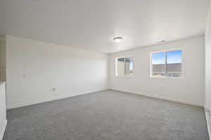 View of carpeted spare room