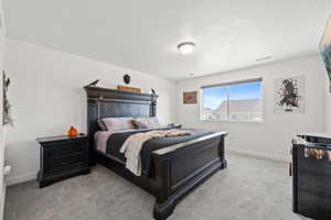 Bedroom featuring carpet and a textured ceiling