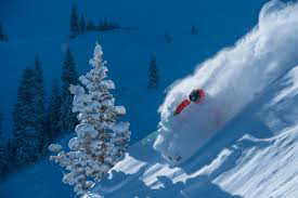 Close to 3 Major Ski Resorts -  Utah Best Snow on Earth