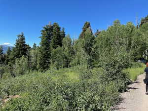 Photo 1 of 56  K QUAKING PINE CIR