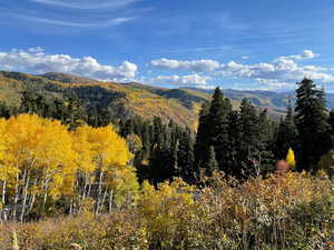 Photo 20 of 56  K QUAKING PINE CIR