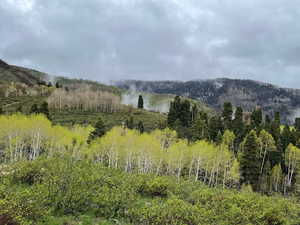 Photo 8 of 56  K QUAKING PINE CIR