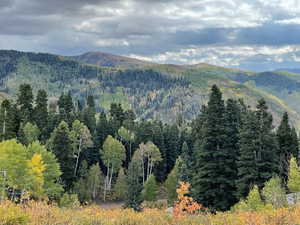 Photo 12 of 56  K QUAKING PINE CIR