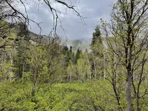 Photo 2 of 56  K QUAKING PINE CIR