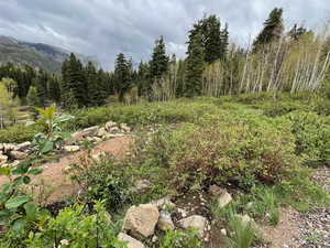 Photo 15 of 56  K QUAKING PINE CIR