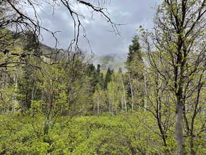 Photo 6 of 56  K QUAKING PINE CIR