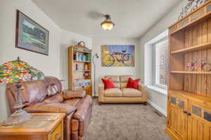 Carpeted living room featuring a textured ceiling