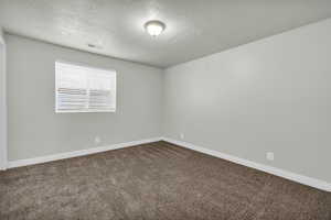 Empty room featuring a textured ceiling and carpet floors