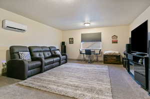 Upstairs bonus room