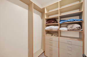 Walk in closet featuring carpet flooring