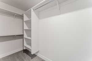 Spacious closet featuring carpet floors