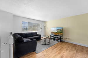 Living room with light hardwood / wood-style floors and a textured ceiling