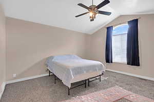 Carpeted bedroom featuring multiple windows, lofted ceiling, and ceiling fan