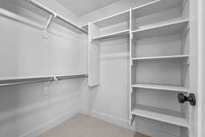 Walk in closet with carpet