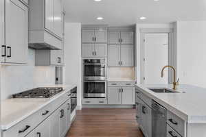 Kitchen featuring sink, decorative backsplash, dark hardwood / wood-style floors, premium range hood, and stainless steel appliances