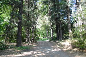 View of street