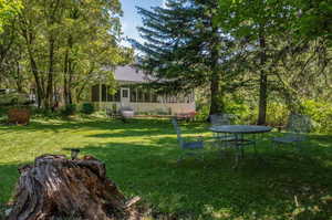 View of yard with a trampoline