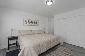 Bedroom featuring dark hardwood / wood-style flooring and a closet