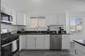 Kitchen featuring white cabinets, sink, dark hardwood / wood-style flooring, and stainless steel appliances