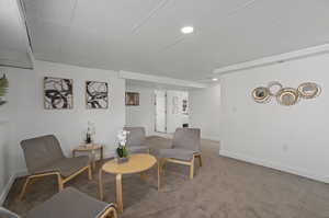 Living room with a paneled ceiling and carpet flooring