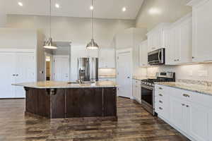 Kitchen with decorative light fixtures, dark hardwood / wood-style floors, stainless steel appliances, a kitchen island with sink, and high vaulted ceiling