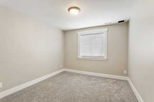 Spare room with carpet and a textured ceiling