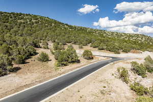 Photo 48 of 3002 E LA SAL PEAK DRIVE