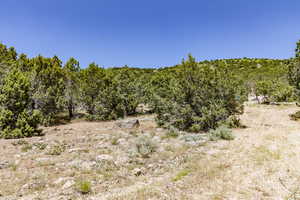 Photo 5 of 3002 E LA SAL PEAK DRIVE