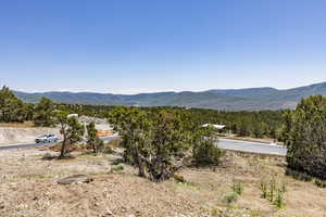 Photo 45 of 3002 E LA SAL PEAK DRIVE