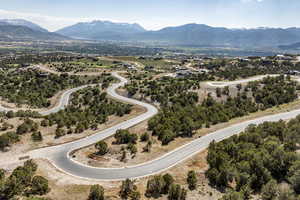 Photo 8 of 3002 E LA SAL PEAK DRIVE