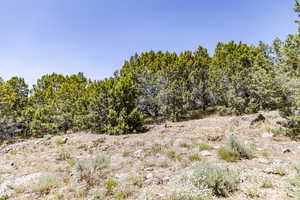 Photo 19 of 3002 E LA SAL PEAK DRIVE