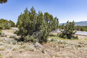 Photo 4 of 3002 E LA SAL PEAK DRIVE