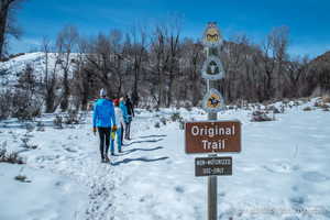 Photo 45 of 7189 N HITCHING POST DR