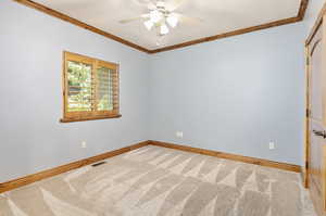 Unfurnished room featuring carpet, ceiling fan, and crown molding