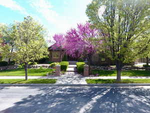 View of front of property with a front yard