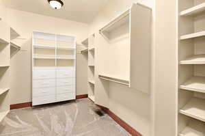 Primary walk-in closet featuring carpet floors