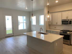 Kitchen featuring appliances with stainless steel finishes, sink, light hardwood / wood-style floors, decorative light fixtures, and a kitchen island with sink